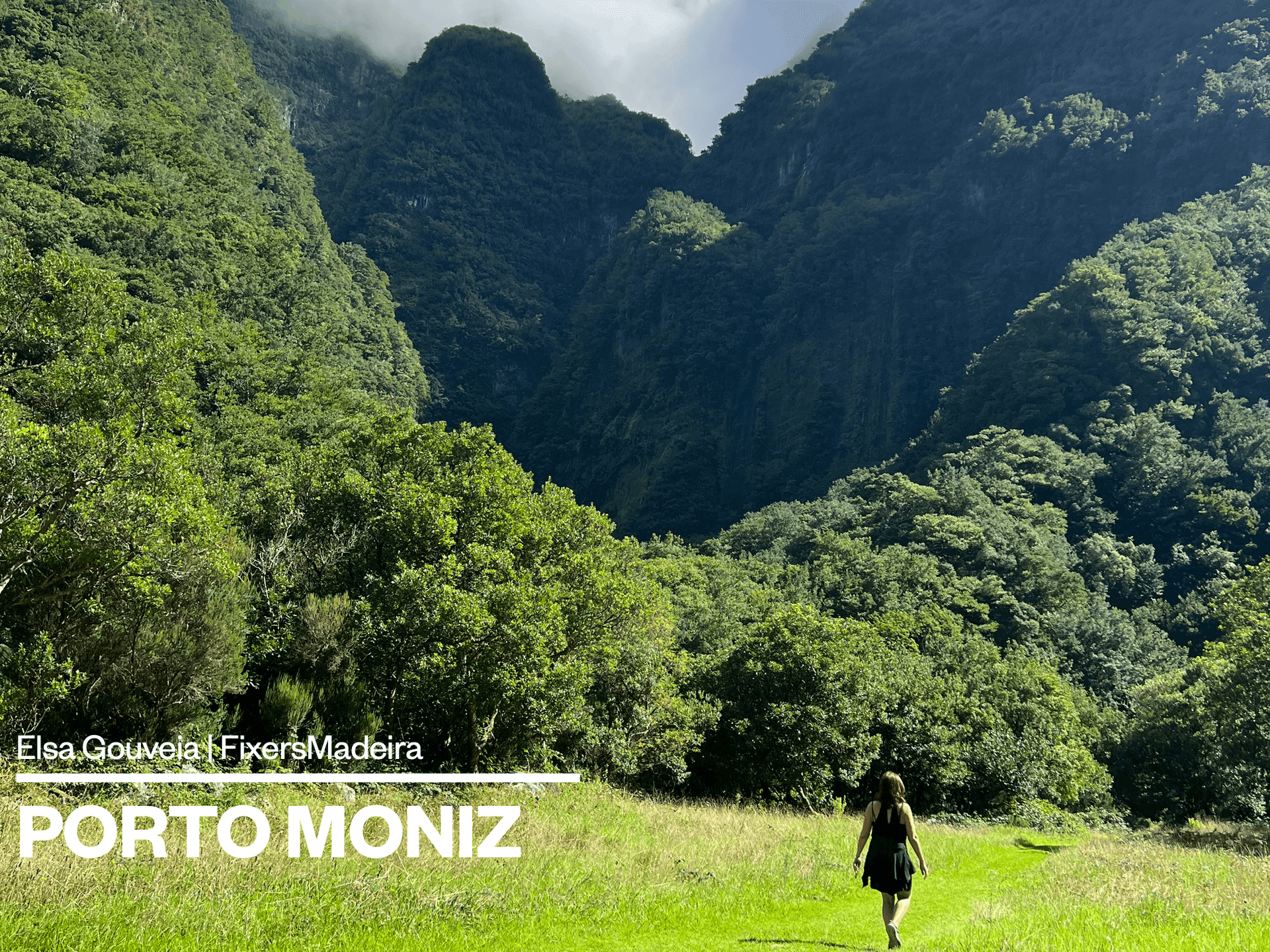 Laurissilva UNESCO forest in Fanal, Madeira — mystical moss-covered trees and foggy landscape ideal for cinematic productions, fashion editorials, outdoor campaigns and documentary filming.